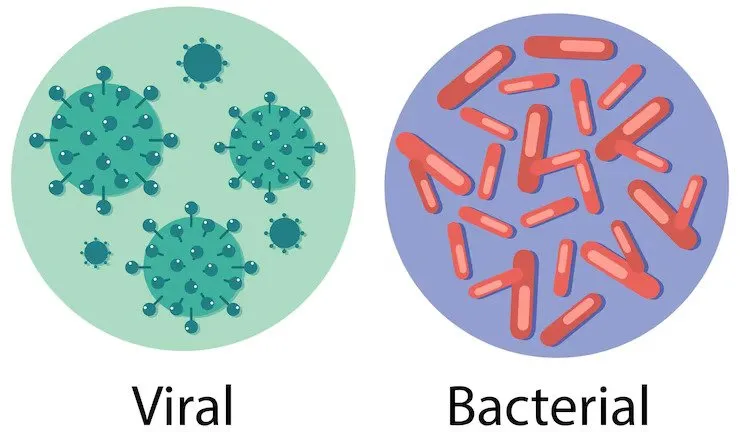 تفاوت ظاهری ویروس و باکتری
